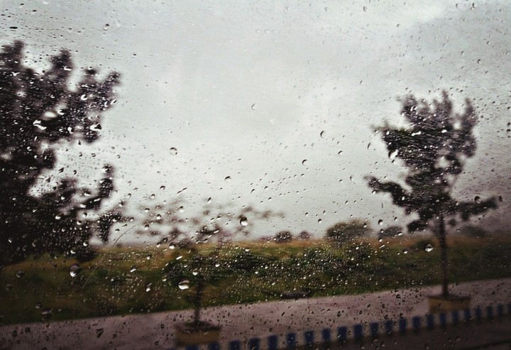 Road view