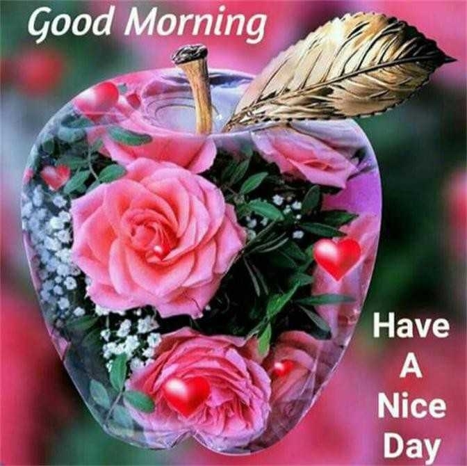 good morning