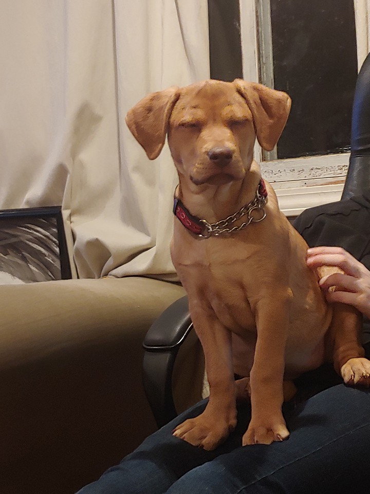 dog