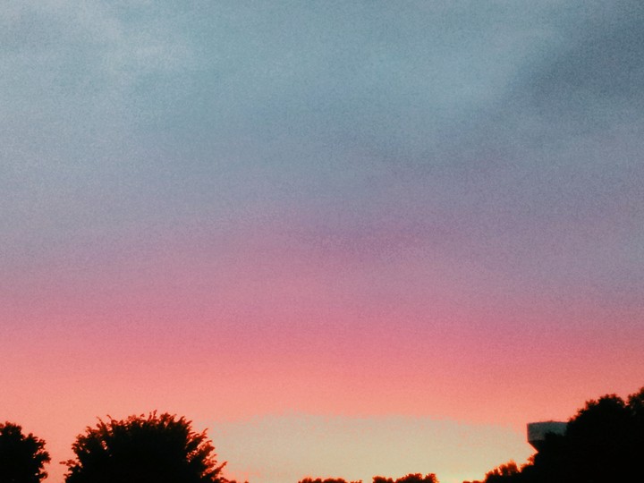 Pink sunset
