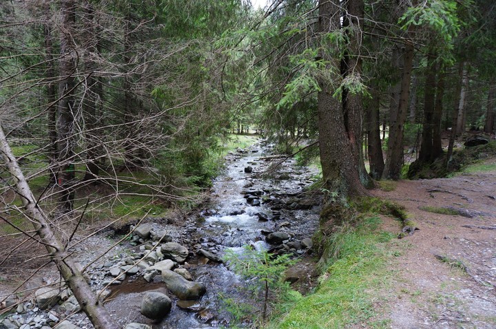 Parc Natural Bucegi