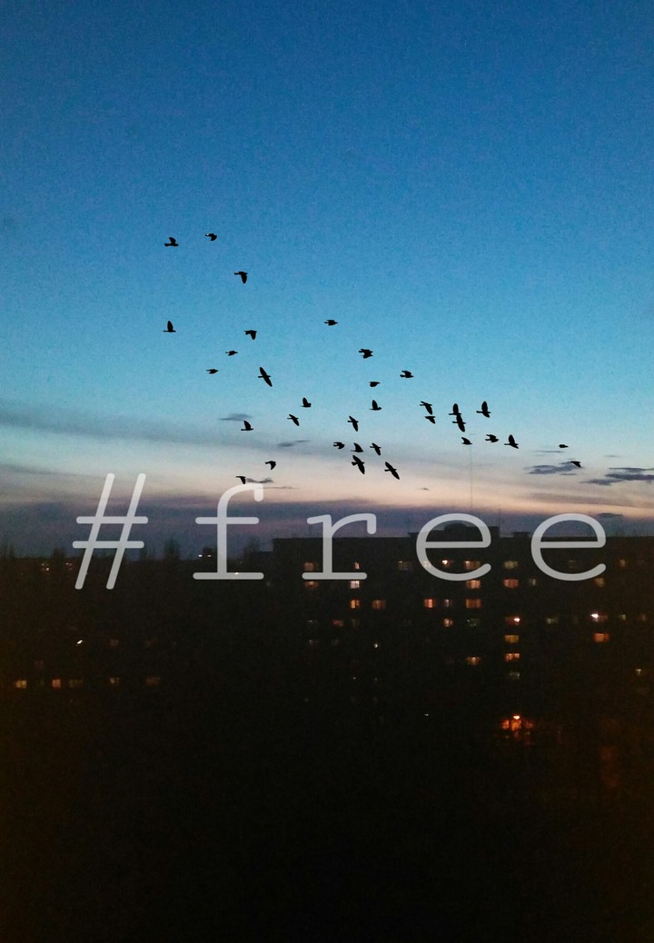 #free