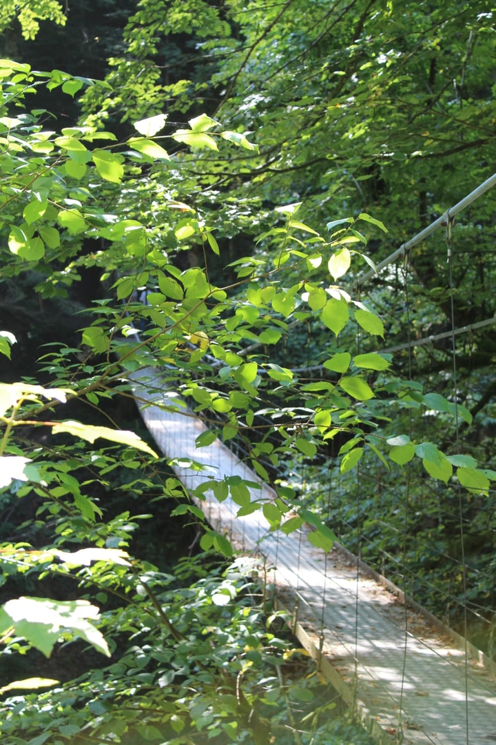 bridge