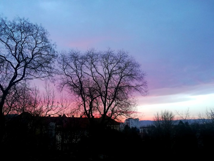 Sky