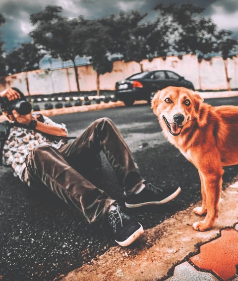 dog