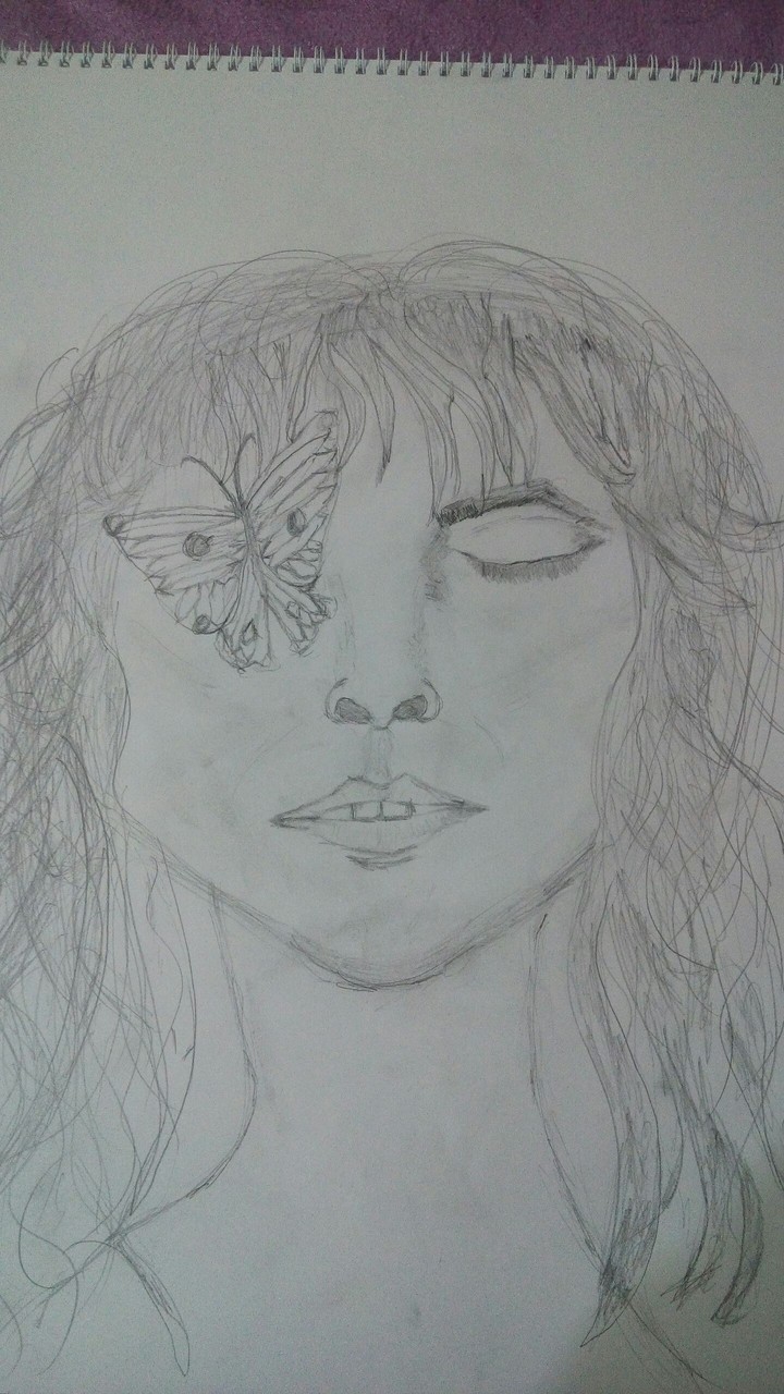 sketch