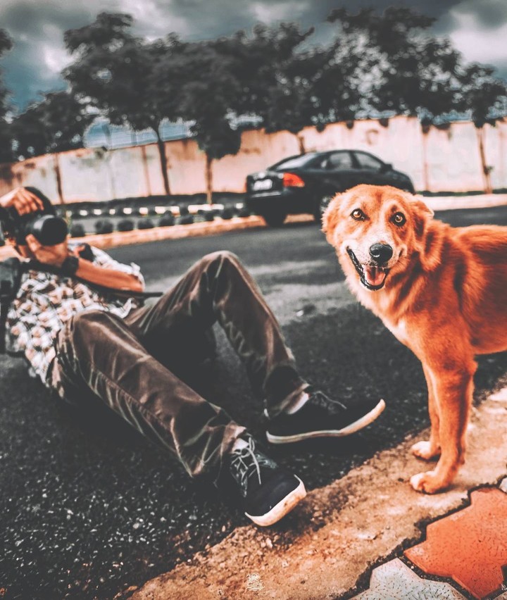 dog