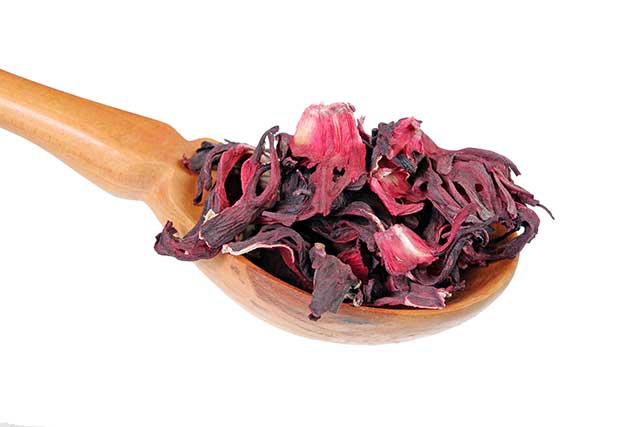Hibiscus flower