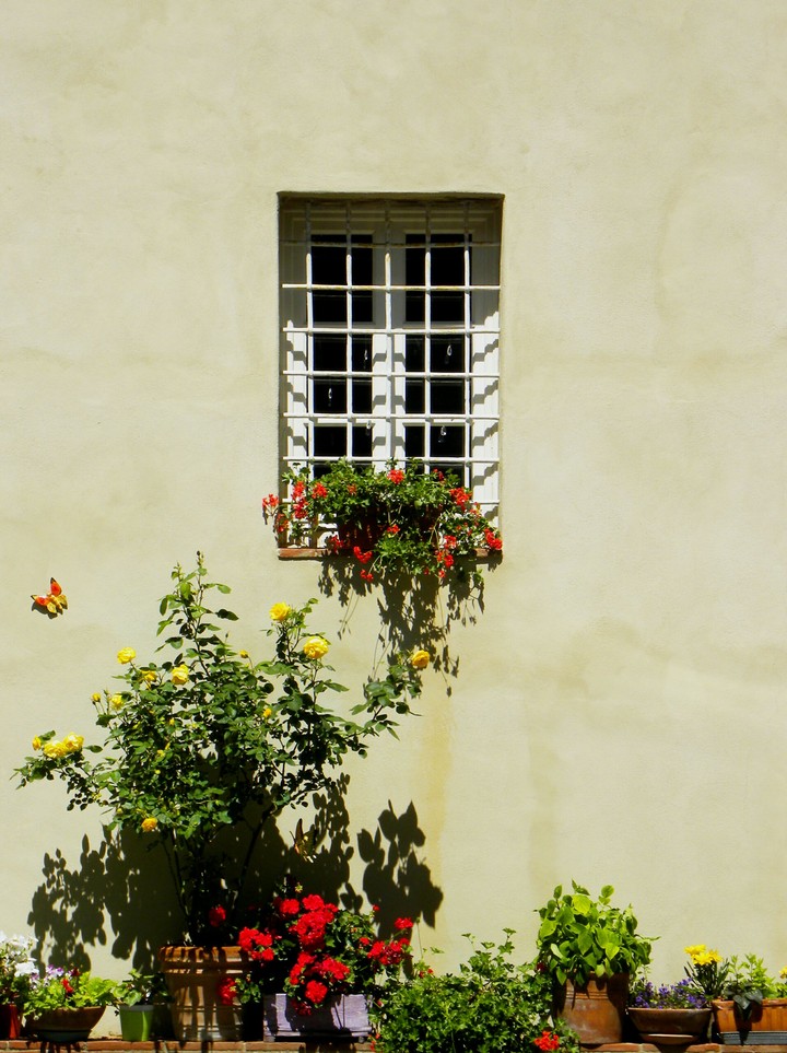 Finestra a primavera