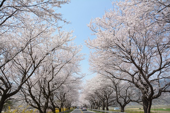 하동이미지