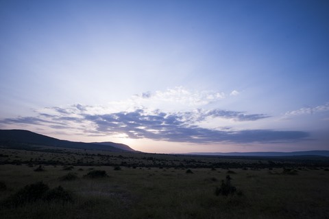 Nature