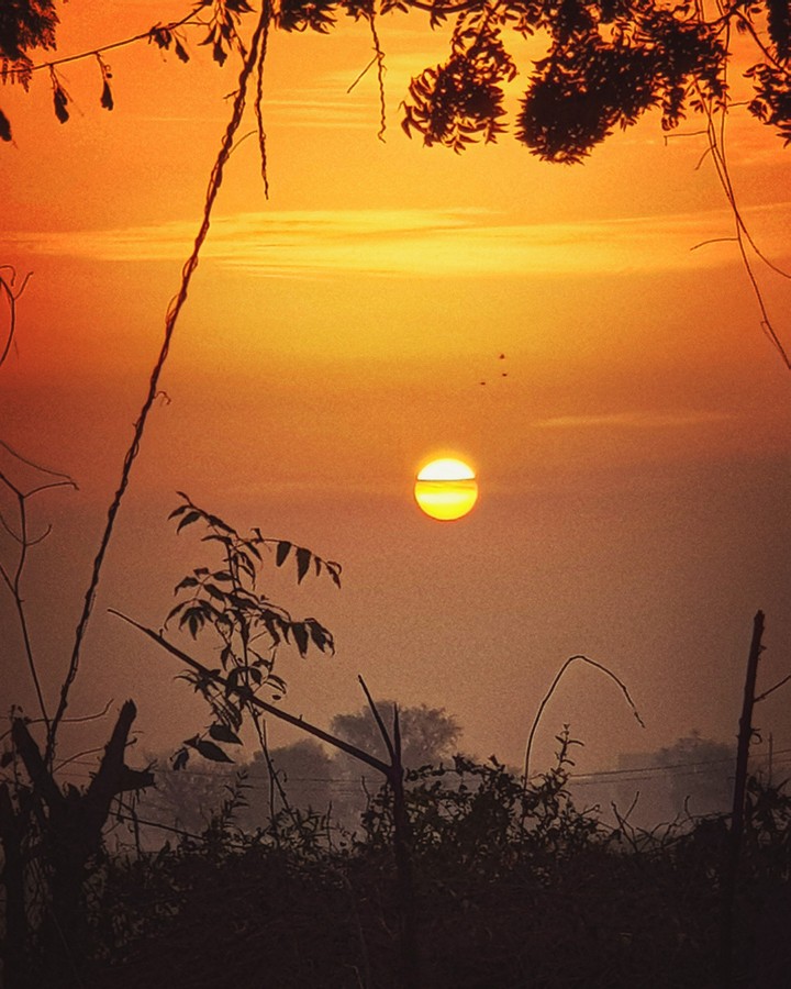 Beautiful sunrise