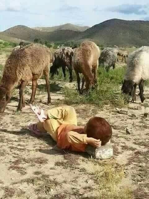 Это жизнь такая