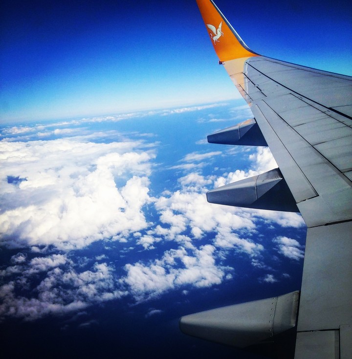 fly