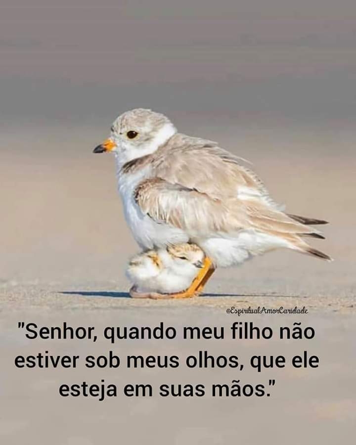 Obrigado Sr por tua misericórdia...