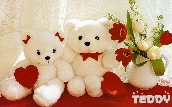 teddy teddy...:-)
