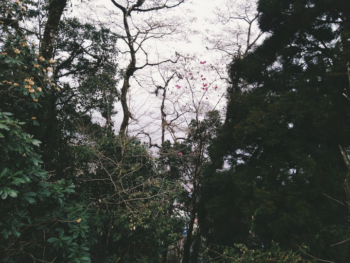 nature