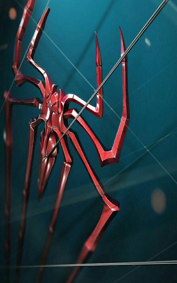 Spider