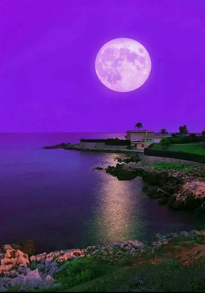 Moonlight night