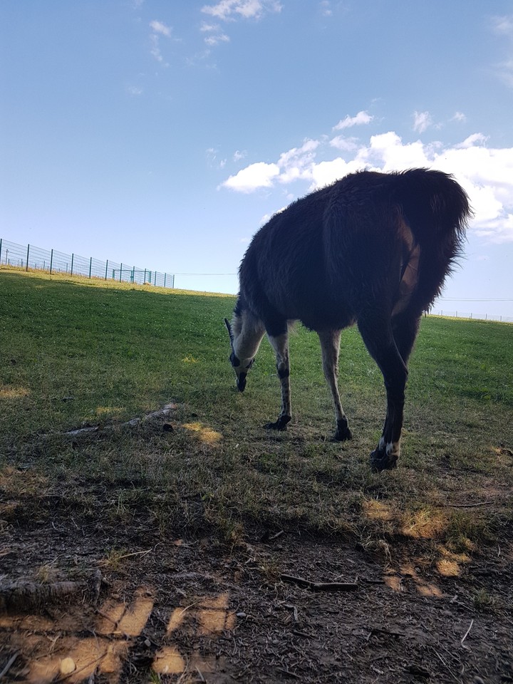 Selbst gemachtes Foto ist echt gut gelungen.