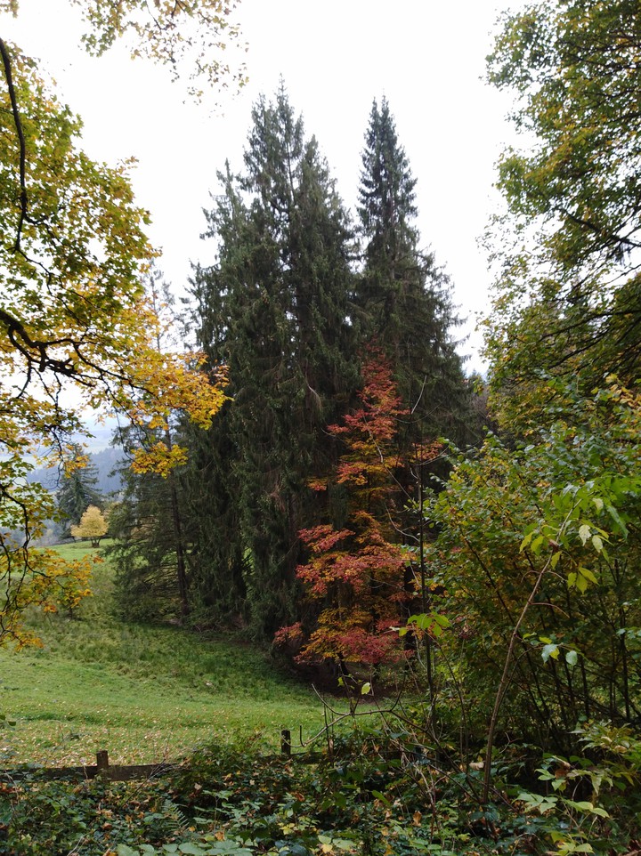 colourful in green