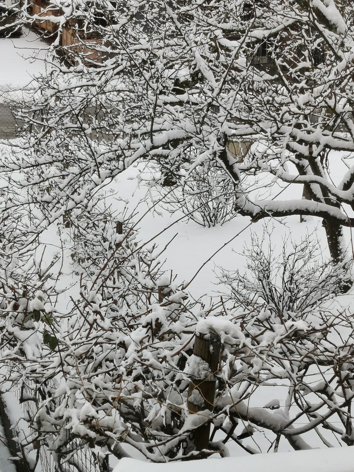 Nature en neige