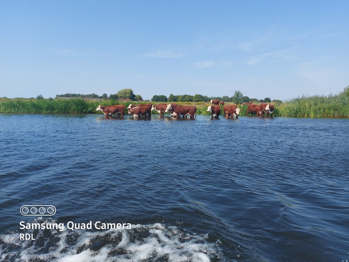 #natuur