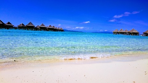vacation