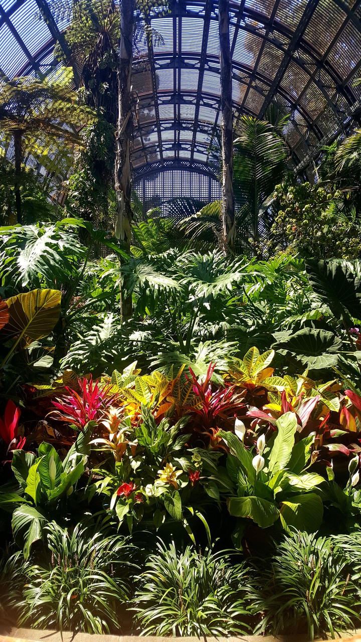San Diego