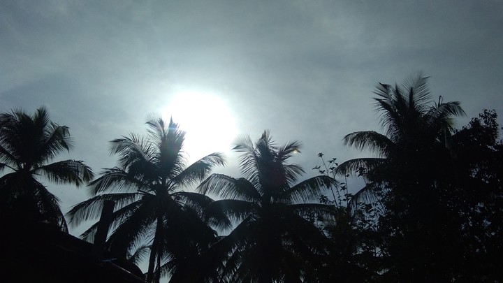 sun