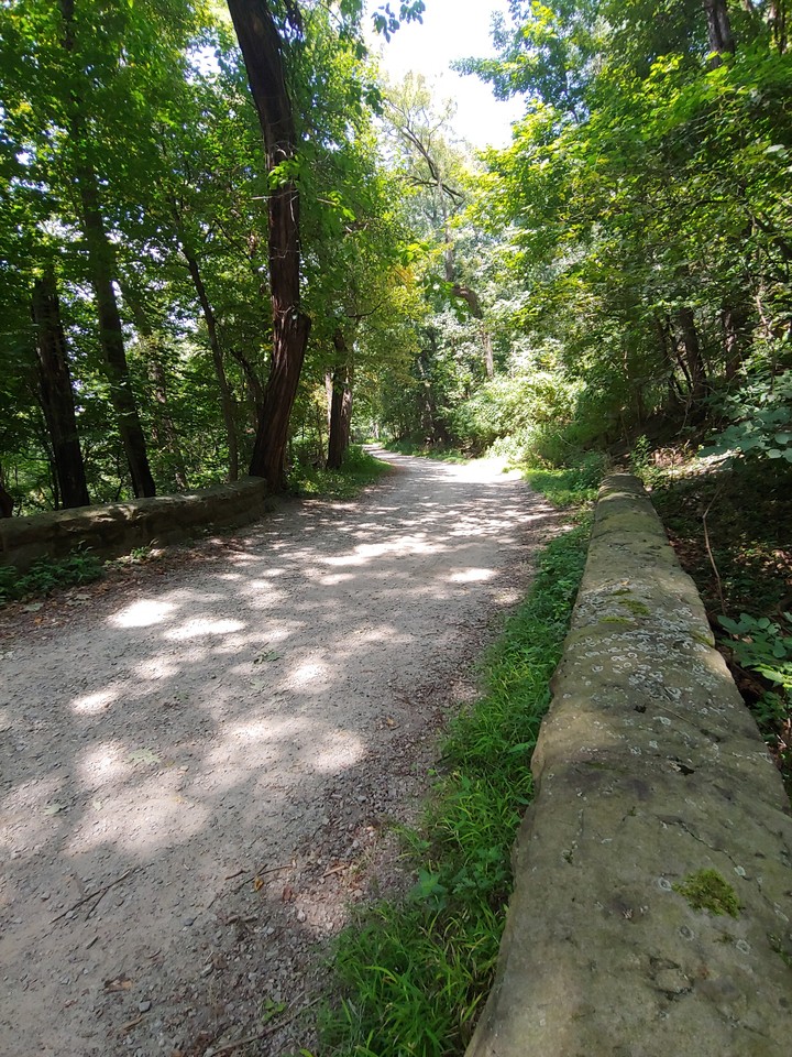 Nature walk