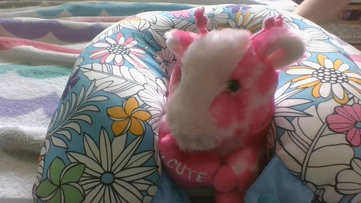 My baby ANIMAL <3
