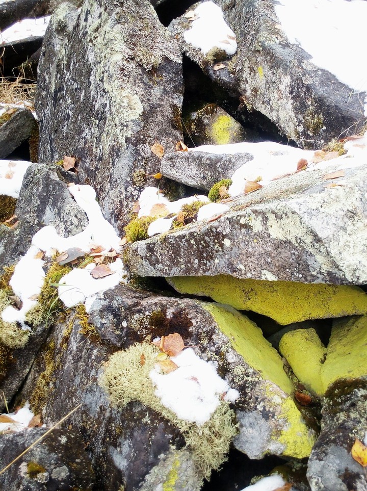 Yellow green rock and snow.