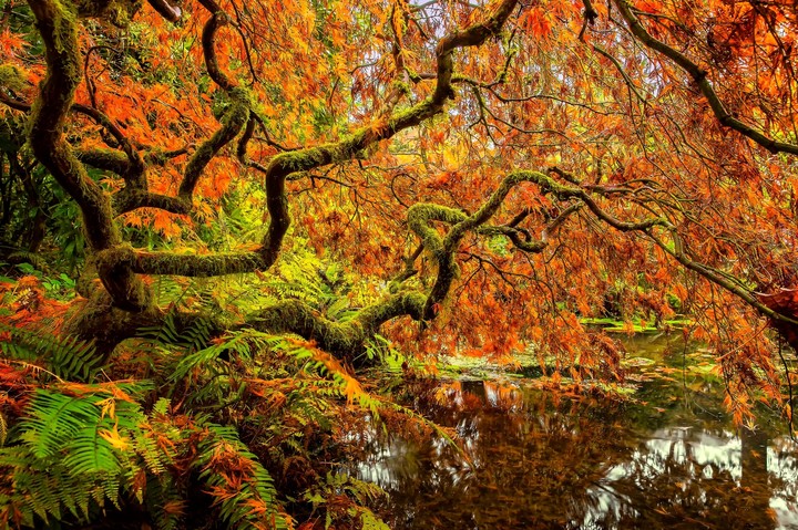 Autumn 