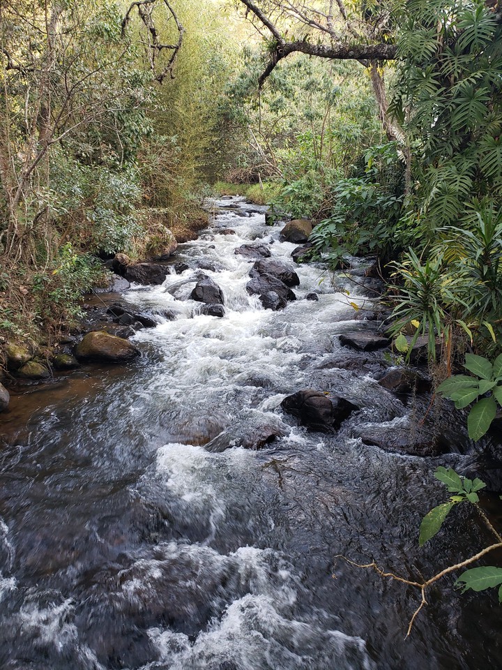 Cachoeira dos P