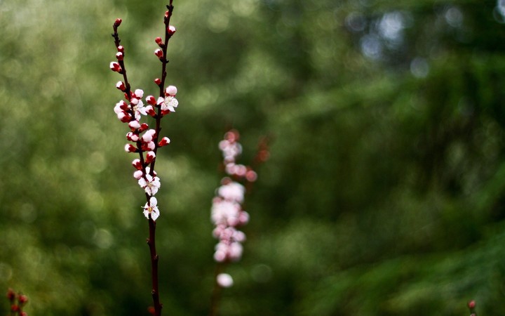 Standing out