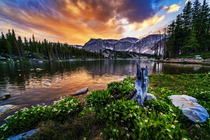 Breathtaking Nature