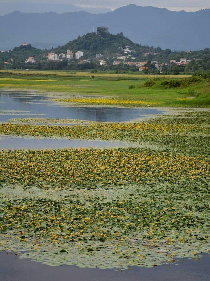 دریاچه