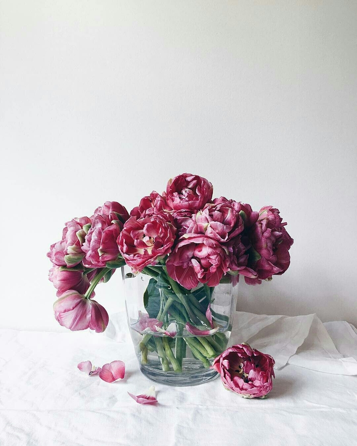 Peonies