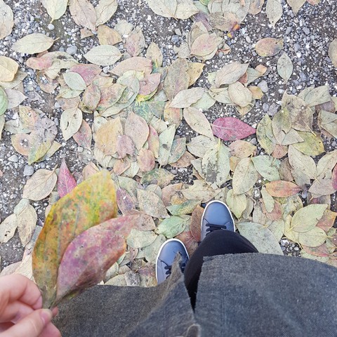 walking through the leaves...