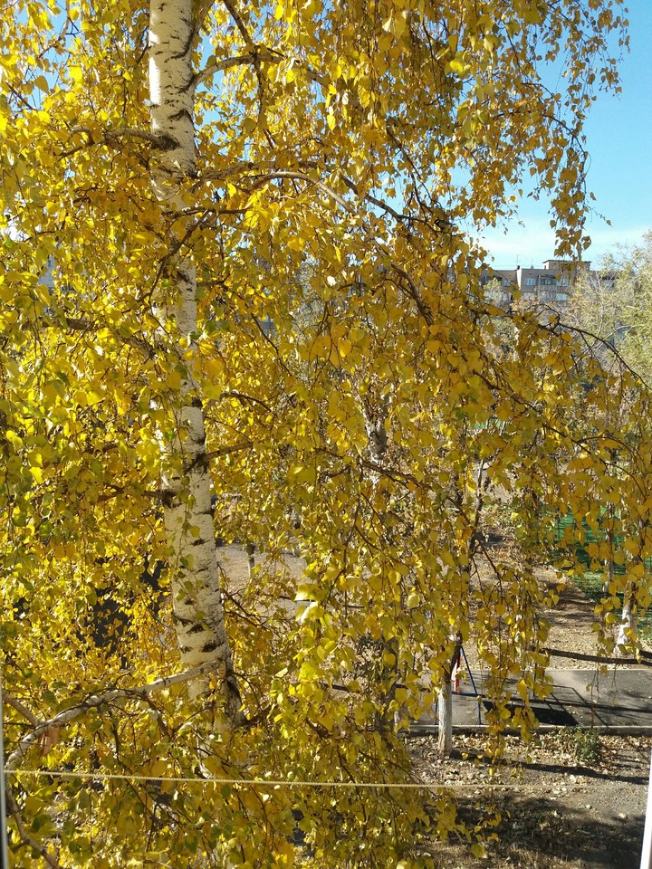 за окном осень.....