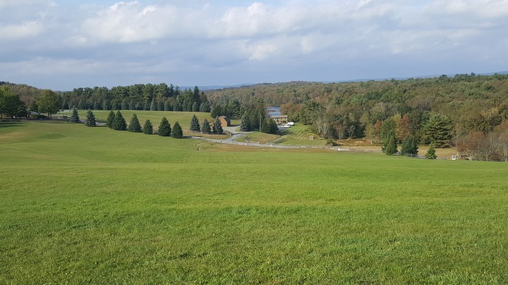 Woodstock Field