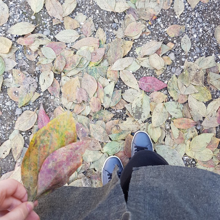 walking through the leaves...