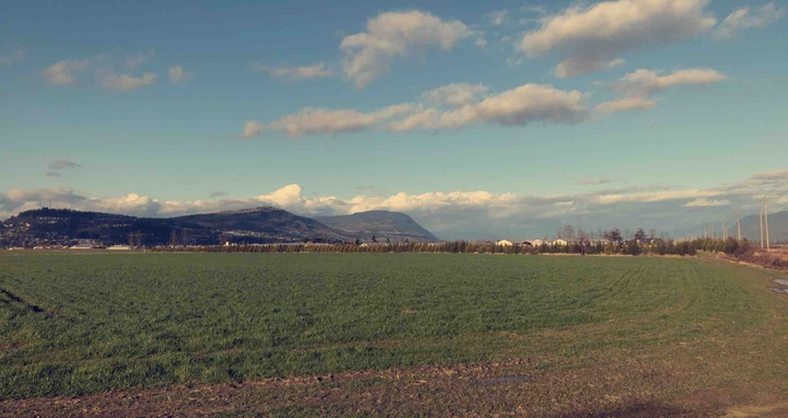 field,mountains and sky