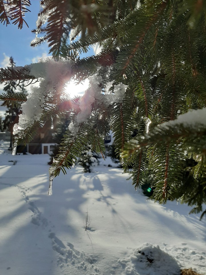Vlasic, Bosnia and Herzegovina