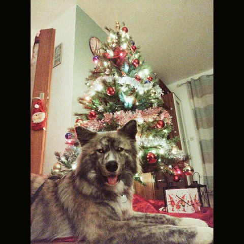 Weihnachten