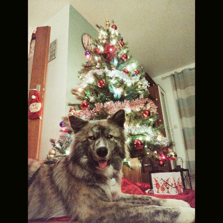 Weihnachten