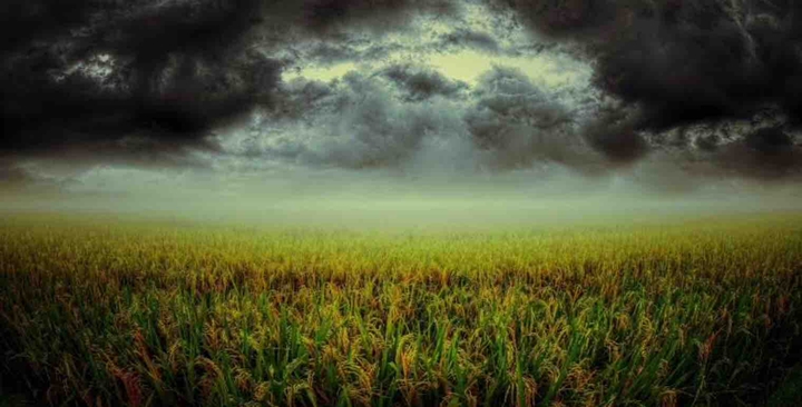 I think there would be a thunderstorm ⛈ over here.