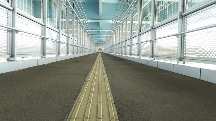 bridge