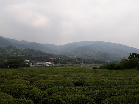 mountains